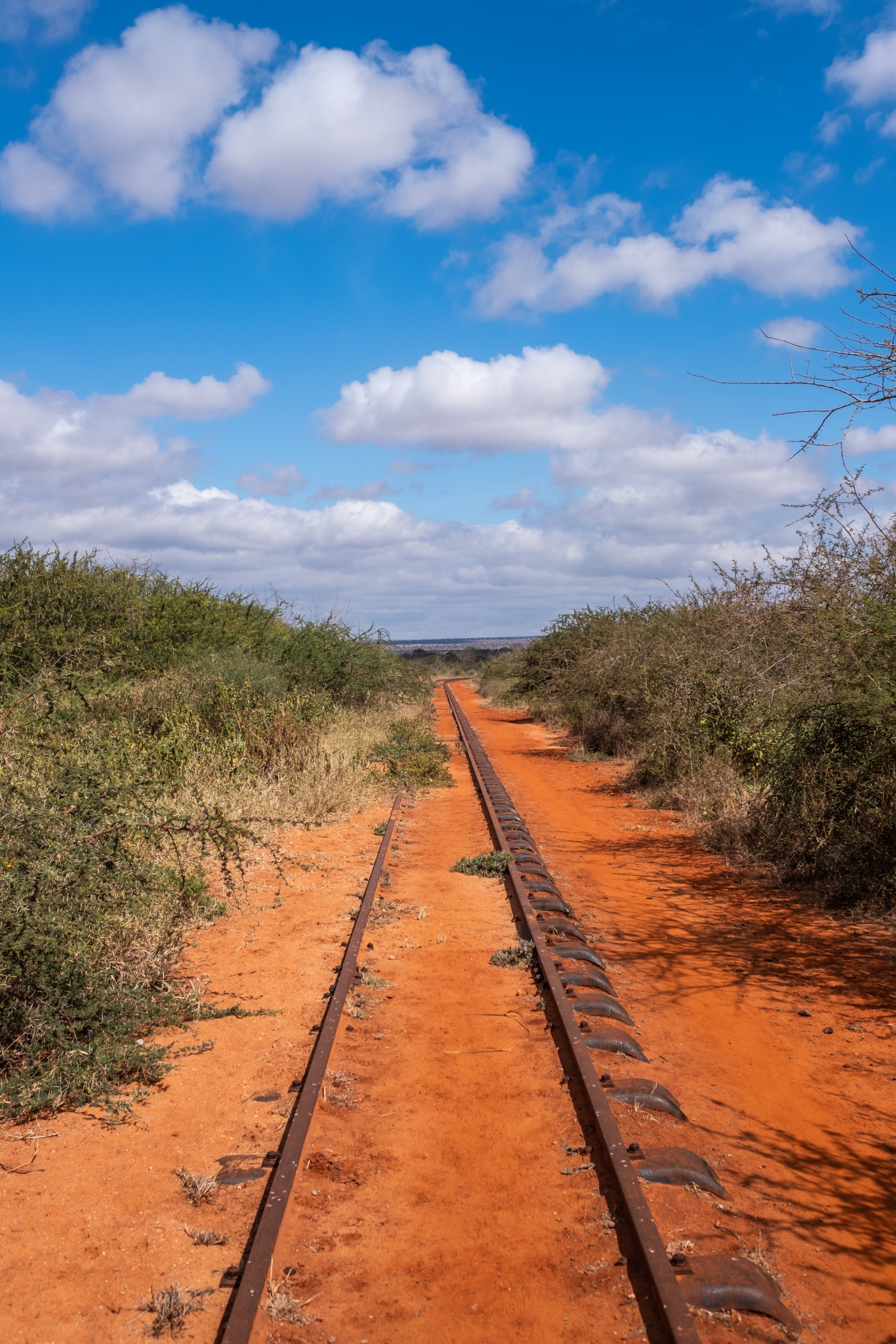 A vertical shot of railway surrounded by trees under the blue sky in Tsavo west, Taita hills, Kenya